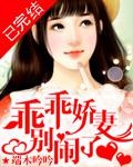 乖乖宠妻别闹了