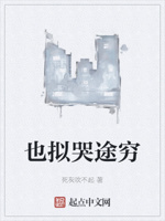 也拟哭途穷