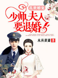 乱世好婚宠:少帅