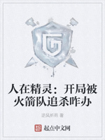 人在精灵：开局被火箭队追杀咋办