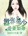 云少蜜爱：拐走嚣张妻