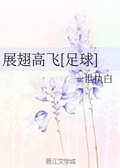 亚瑟的足球作者:一世执白