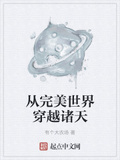 从完美世界开始穿越