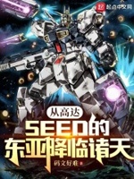 从高达seed的东亚降临诸天