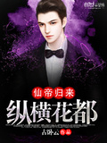 仙帝归来之纵横都市