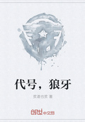 代号黑狼