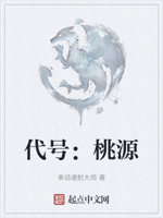代号：桃源