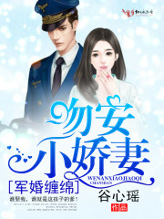 司令,秘爱成婚