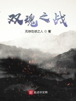 双魂之战