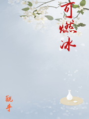 可御风雪可燃冰