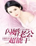 千亿盛宠闪婚老公很能干