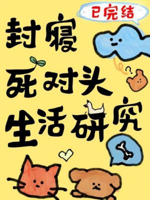 倒霉版封寝日记