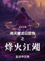 倚天之纯阳无极功