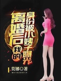 傻子夏被离婚后