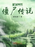 僵尸之星 小说