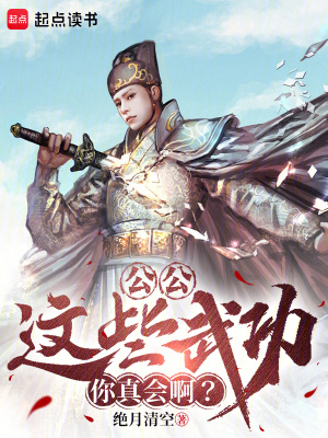 公公,这些武功你真会啊？