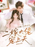 冷婚三年你不爱,二嫁大佬宠上天