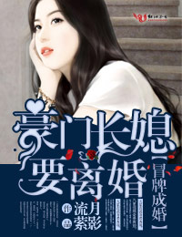 再嫁婚成,豪门总裁高冷情深