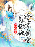 军师王妃凌傲君姊妹篇