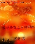 创世纪星传之星帝崛起