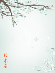 别惹黑莲花O[穿书]