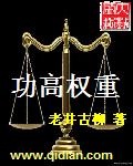 功高权重新笔趣阁