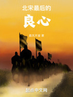 北宋末年的良心