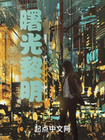 命运：曙光黎明