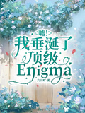 嘘！ 这个Enigma被我盯上了(嘘！我垂涎了顶级Enigma)