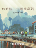 四合院何雨柱崛起txt下载
