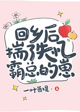 回乡后揣了失忆霸总的崽