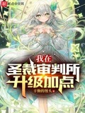 圣裁战龙王加点