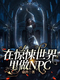 在只有NPC的世界里NPC