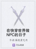 在快穿世界做npc的日子笔趣阁