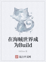 在海贼世界成为build