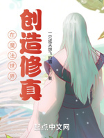 在魔法世界创造修真