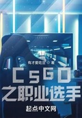 在csgo打职业的小说