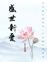 寻找我的双生之光