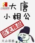 寒门小相公