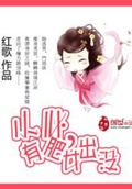 家有毒夫小心出没女尊