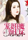 宠妻狂魔别太坏完整版笔趣阁