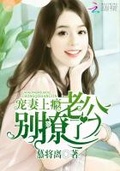 宠妻上瘾老公求别撩