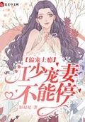 宠妻上瘾by妃宝