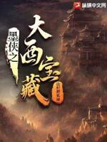 墨侠之大西宝藏