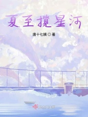 夏至揽星河