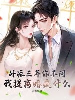 外派三年你不问,我提离婚疯什么？