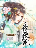 夜王的宠夫(女尊)