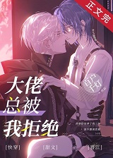 大佬总被我拒绝