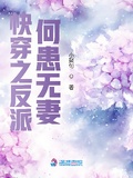 大丈夫何患无妻