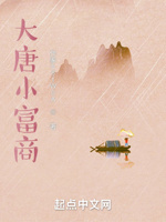 大唐小富商